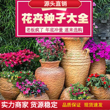 ���N�� ��˹�ո�ɣ��ʯ��M�������~�u�ڻ����ߴ���Ͳ˻���