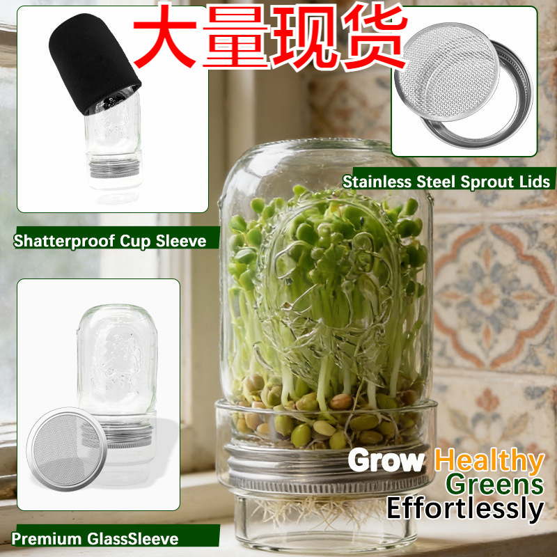 Cross-Border New Product Creative Gardening Germination Jar Set Transparent Glass Mason Jar Germination Lid in Stock Cross-Border New Product Creative Gardening Germination Jar Set Transparent Glass Mason Jar Germination Lid in Stock