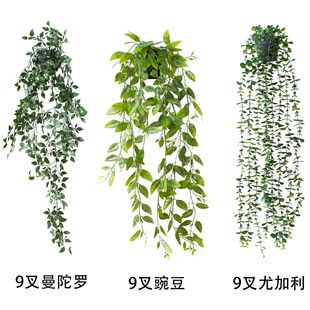 Amazon Hanging Potted Plant Combination Pot Potting Bonsai Bonsai Interior Decoration Home Wall -Mid -Hanging Decoration Plants