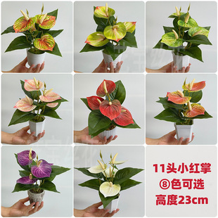11�^�t�Ʒ��� һ���L����\���^���滨�����ļ��_���͏d�̨����