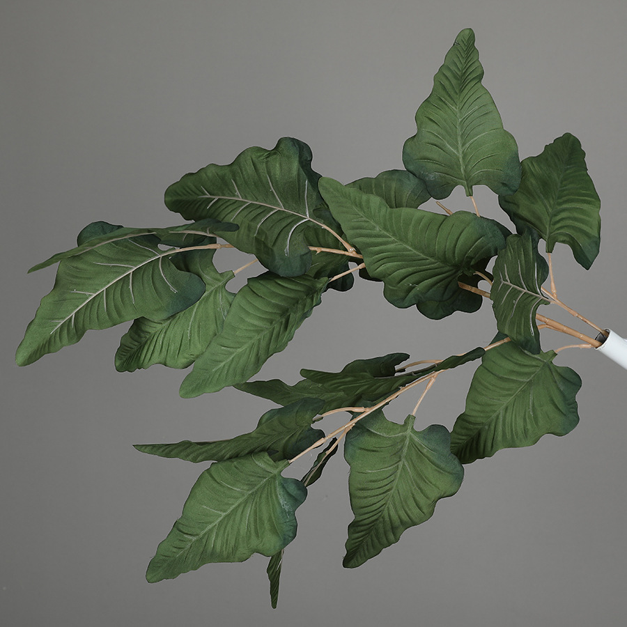 Horseshoe leaf
