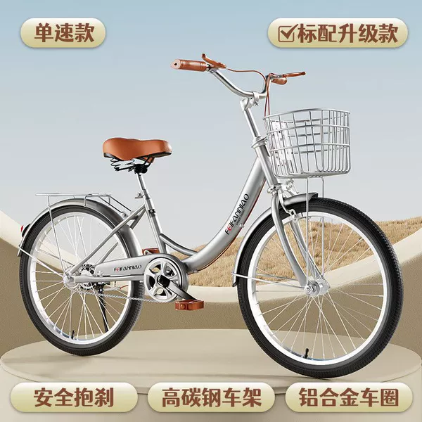 Classic Silver/Single Speed/Standard