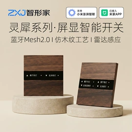 智能家居;其他家居智能;智能开关