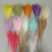 Вечная жизнь — букет сушёных цветов Baiya Grass для домашнего декора, белые лагурусы, букет для влюблённых, свадебное оформление