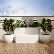 ���P䓻����Fˇ�������M��ͥԺ���@�Ƶ�V�����ڸ��໨�ۻ���