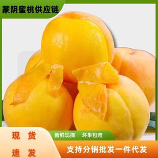 �ļ������������ԭ�a��ˮ�����r�Fժ�F�l5���A�����lһ�����l