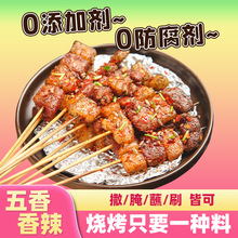 烧烤调料撒料炸串刷料酱腌料蘸料烧烤料香辣五香烤肉料露营