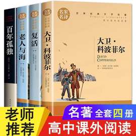 大卫科波菲尔青少年课外阅读世界文学名著中文版小说【名家名译】