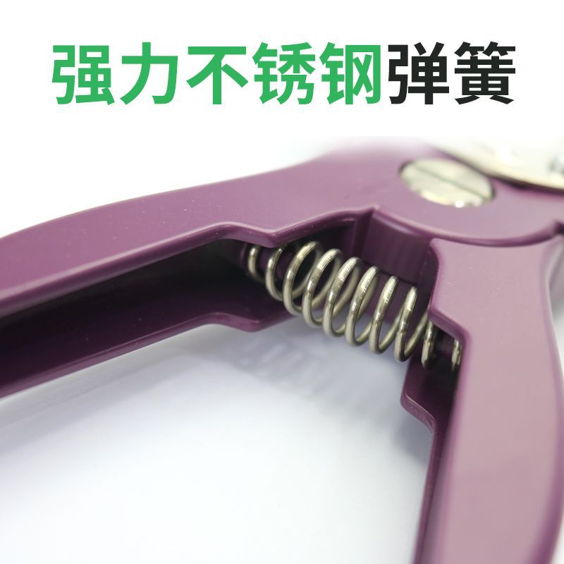 Alicates de etiqueta de oreja de rebote automático veterinario alicates de etiqueta de oreja vertical para cerdos, ganado y ovejas alicates de etiqueta de oreja para cerdos alicates de etiqueta de oreja