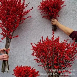 Imported North American Holly Flowers, Cut Branches, Red Fruits, New Year's Living Room, Hydroponic New Year's Eve Festive Florals, Yunnan Potted Plants