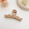 Big advanced crab pin, brand hairgrip, hairpins, acrylic hair accessory, shark, high-quality style, South Korea, wholesale