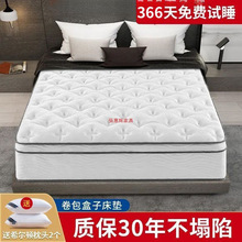 RǼƵs30cmϣD|Ӵ|