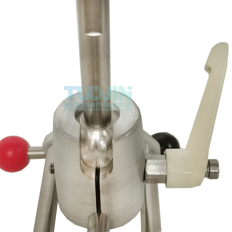 Modelo dental oral de enseñanza, clip de diente, tabla de preparación endodoncia, materiales dentales