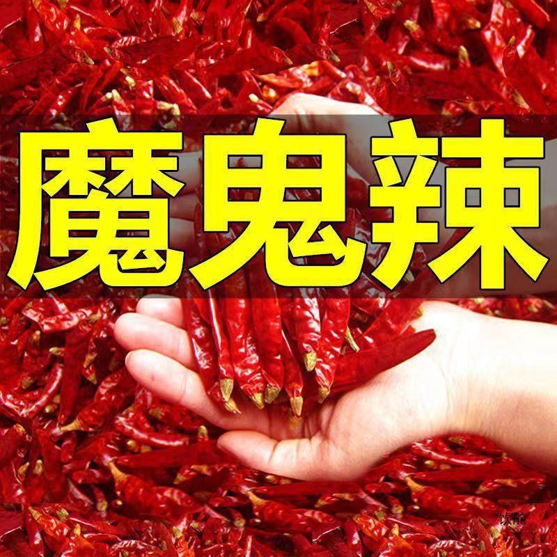 辣辣椒椒巨辣干辣椒商用无籽辣椒段超辣印度干辣椒商用500g