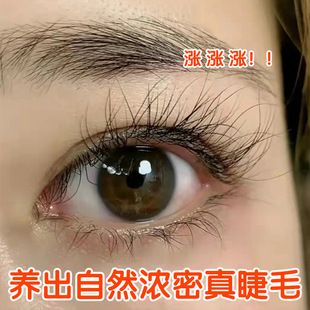 Cross-border genuine eyelash liquid thick curly black long eyebrows eyelash nutrition liquid mild mascara wholesale
