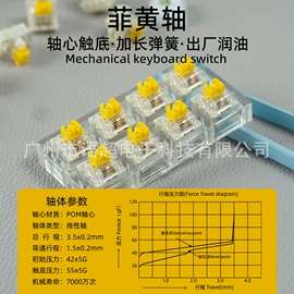 键盘;键帽;按钮开关