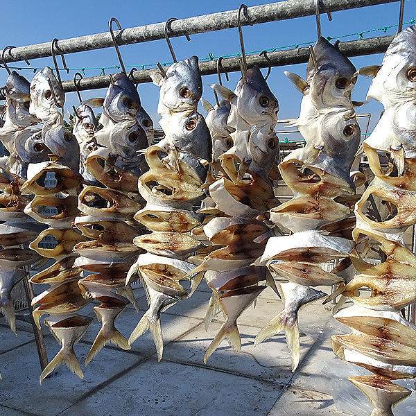 广东网红金鲳鱼干天然自晒咸淡金鲳鱼海鲜干黄立鲳全国包邮批发