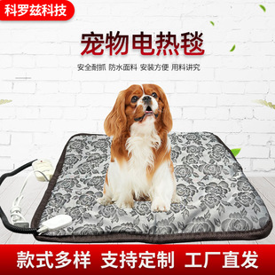 Ʒˮĥӟ|늟Ή|С늟̺늟̺늟|