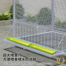 鸡笼子家用加粗大号养殖笼折叠鸭笼鹅笼狗笼自动滚蛋鸡笼厂家直发