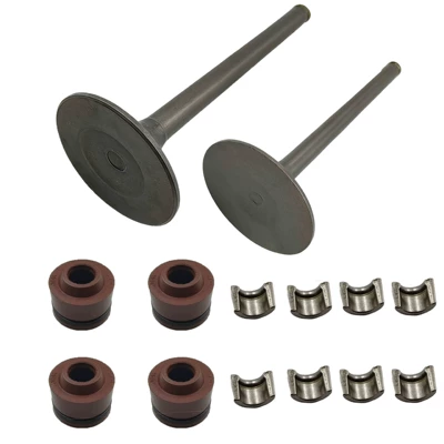 and exhaust valve oil – Valves and components