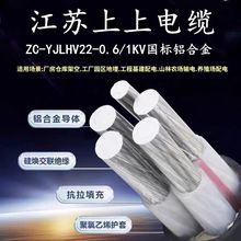 ���K���� ZC-YJLHV22 ��ȼC���X�Ͻ�䓎��z�b��|&zwnj;3+1 3+2 4+1о