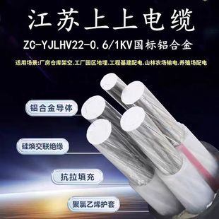 ���K���� ZC-YJLHV22 ��ȼC���X�Ͻ�䓎��z�b��|&zwnj;3+1 3+2 4+1о