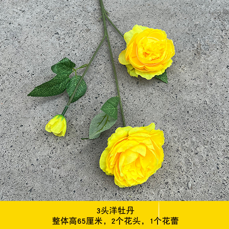 모란 3개 – 노란색