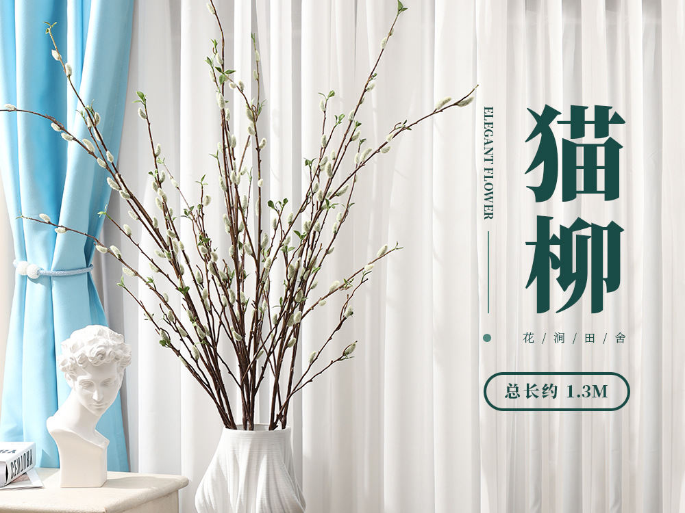 72.猫柳_01.jpg