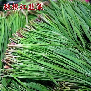 �²����ϸ����~�²˸��F�ڼt���N�ӷN���ļ��̨�Nֲ�����߲˷N��