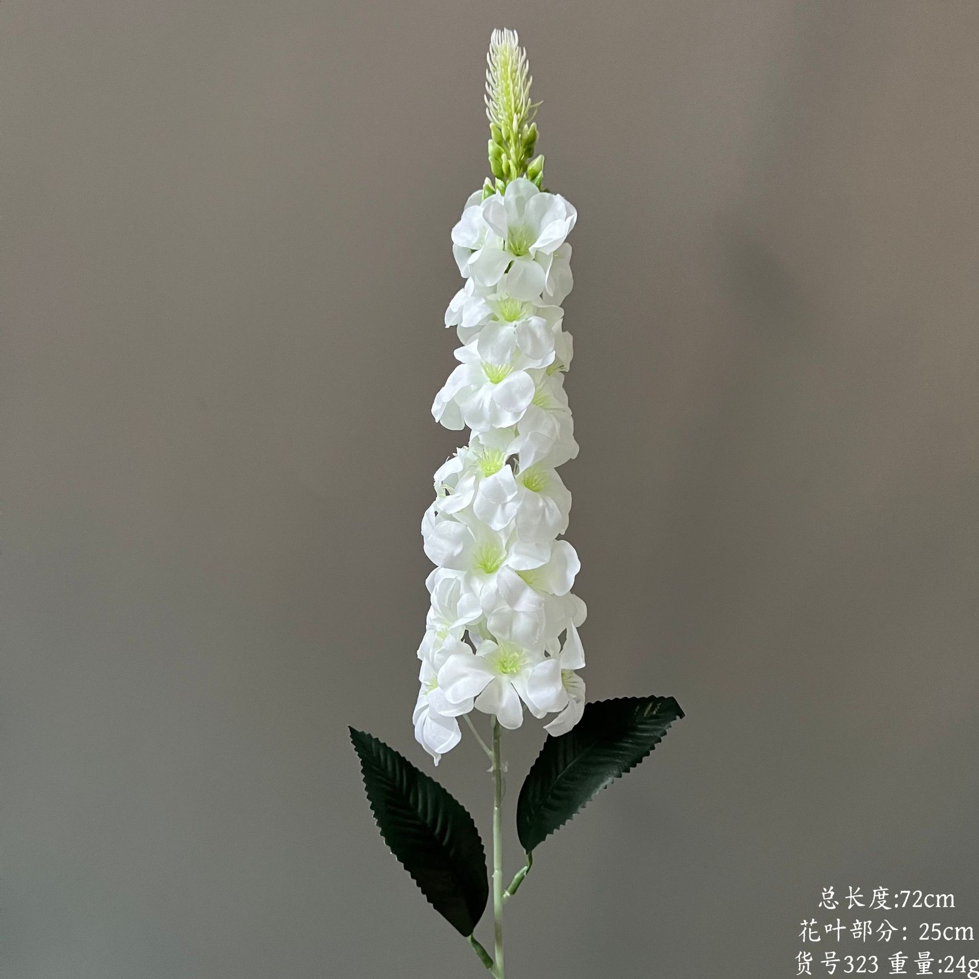 상품 번호 323 - 금어초 한 송이