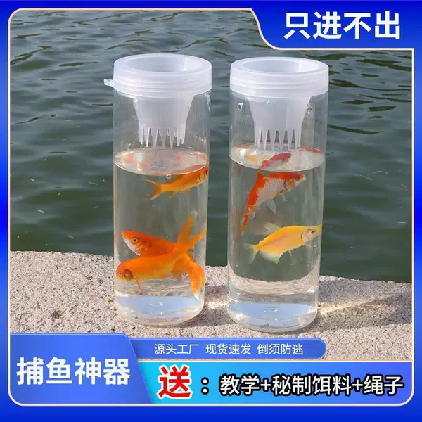 Outdoor Fishing Bottle Pond Creek River Small Fish Catching Tool Children's Fish Catching Tool Whisker Bottle Wholesale in Stock
