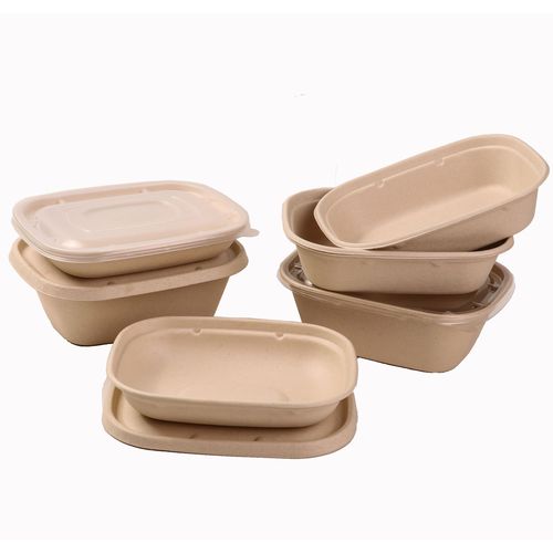 Disposable lunch box, environmentally friendly and biodegradable, paper pulp packaging box, lunch box with lid, thickened fruit salad box, commercial