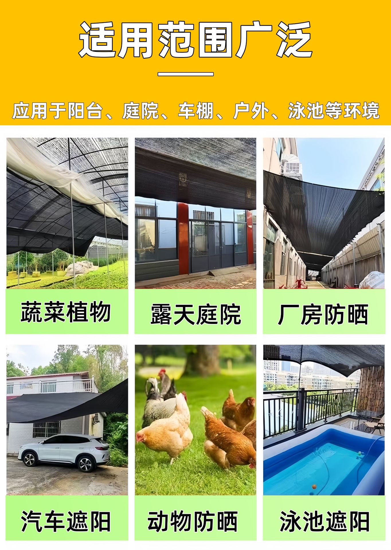 微信图片_20250204135412_副本