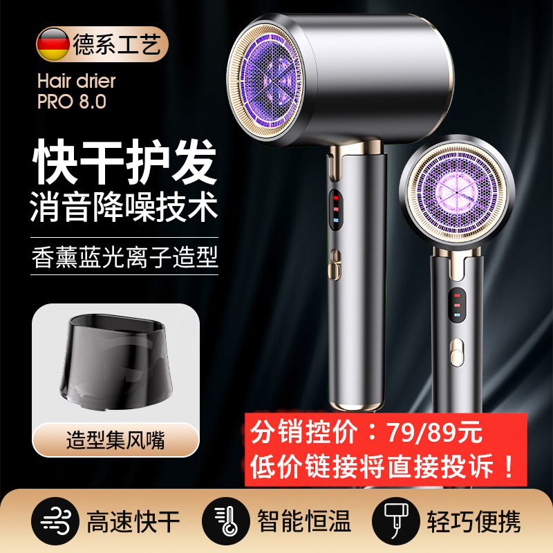 Secador de pelo eléctrico nuevo - Alta potencia, especial para peluquerías, alta velocidad, viento grande, con iones negativos para cuidado del cabello, uso doméstico