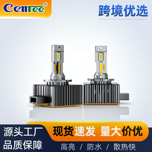 2025���N��Dϵ��D1S�������~��LEED��܇������b�h����һ�w���