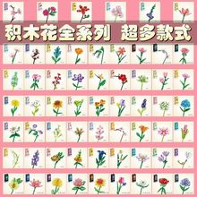 eľŮϵ߃ͯСw[ֹƴb̎Y