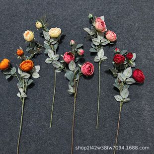 �＾��֧4�^õ��軨�Nޱ�� �ò廨�Ҿӻ�c�zӰ���滨��Y������