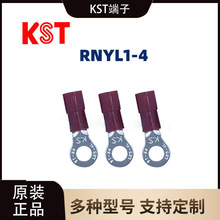 �����d/RNYL1-4�A�������o�׾������������~�Ӿ�����