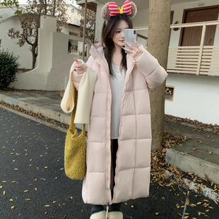 ��q�޷�Ů���L���^ϥ�����@����MM����2025�ﶬ���W���L���\