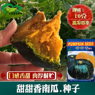 �������ϹϷN�� �r��ˈ@����Sȿ�ڸ����������A�\�Ϲ���