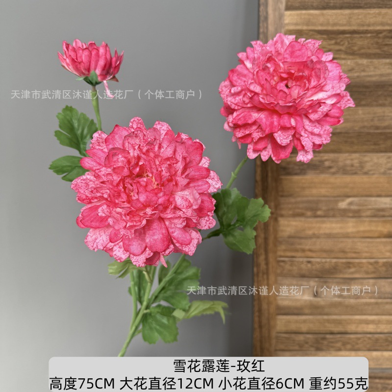 눈꽃 연꽃