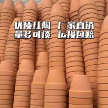 �t���������������С�����̖������͸�⺆�s����������S��ֱ�N