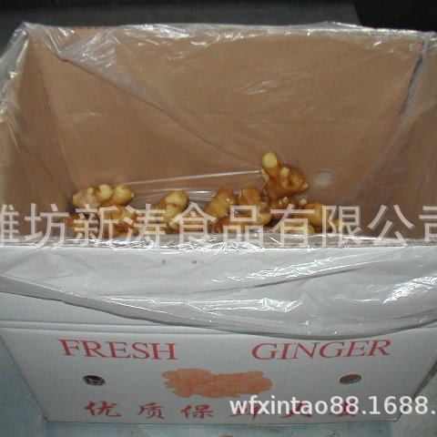 保鲜生姜出口（基地种植、厂家直供）