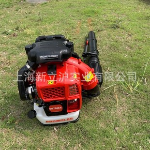 PROMALKS backpack hair dryer EB850EA forest fire wind extinguisher high power snow blower