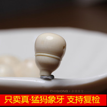 ��Ȼ�ͪw������̼����� ���J��ͨ DIY������� ���� ɢ����