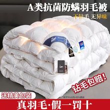 全棉扭花款非羽绒被白鹅绒加厚保暖羽毛冬被芯春秋被酒店宾馆被子