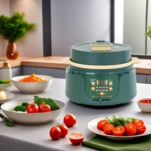 外贸220V欧规美规3.5L蒸煮火锅电饭煲电压力锅304不锈钢高压锅