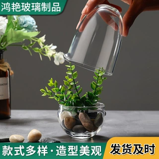 微景观蛋形生态瓶透明玻璃容器多肉植物苔藓瓶 手工DIY材料包摆件