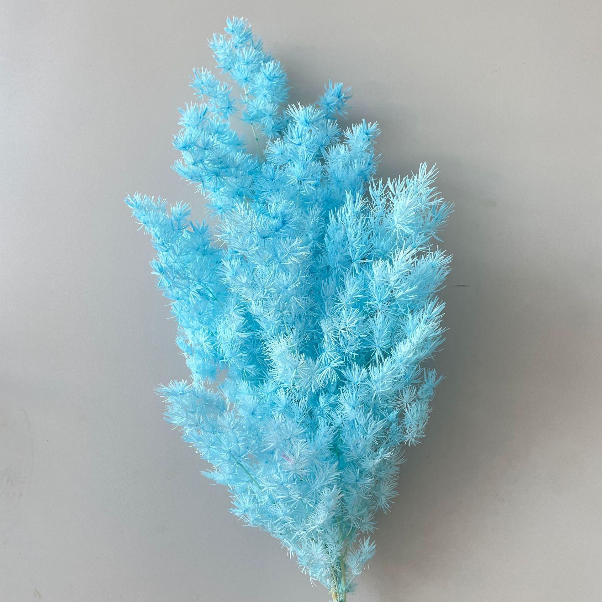 Biru langit terang