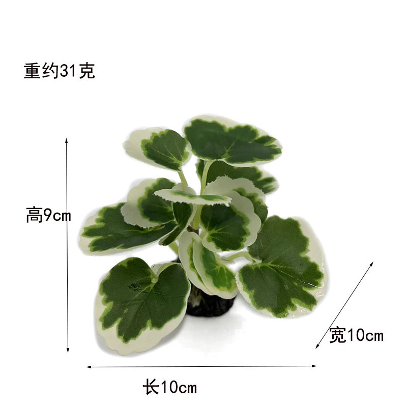 Escenografía de pecera Decoración Simulación de plástico Punto de plantas acuáticas Micro paisaje Escenario de césped falso Paisaje de plantas verdes de algas marinas